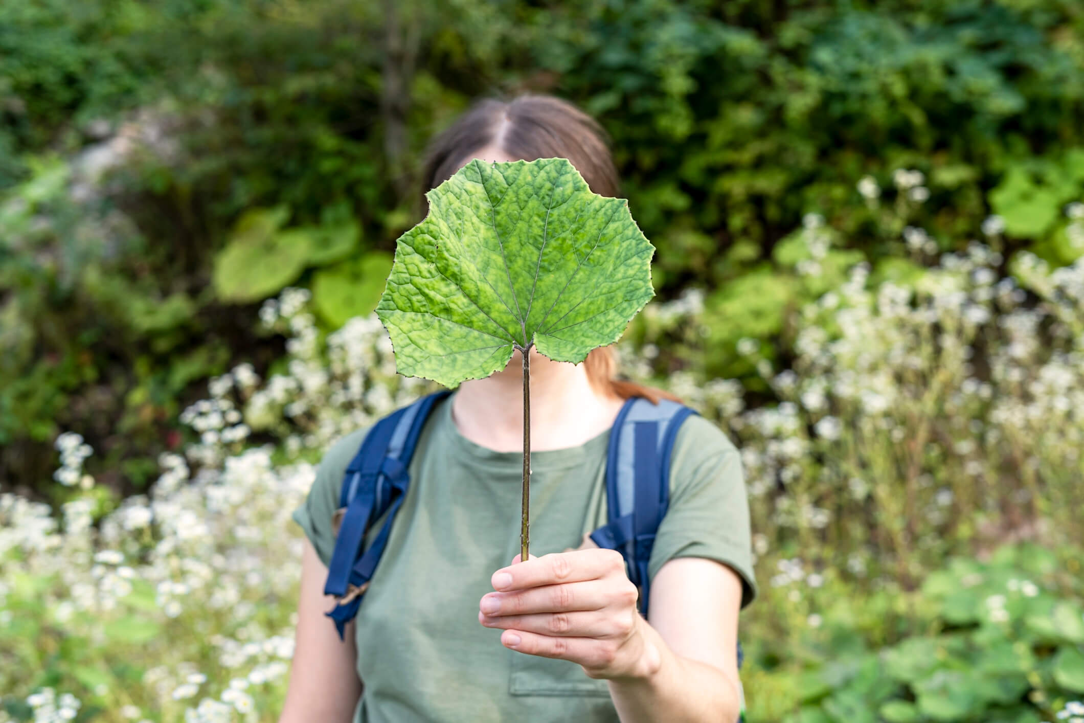 Climate Change and Mental Health