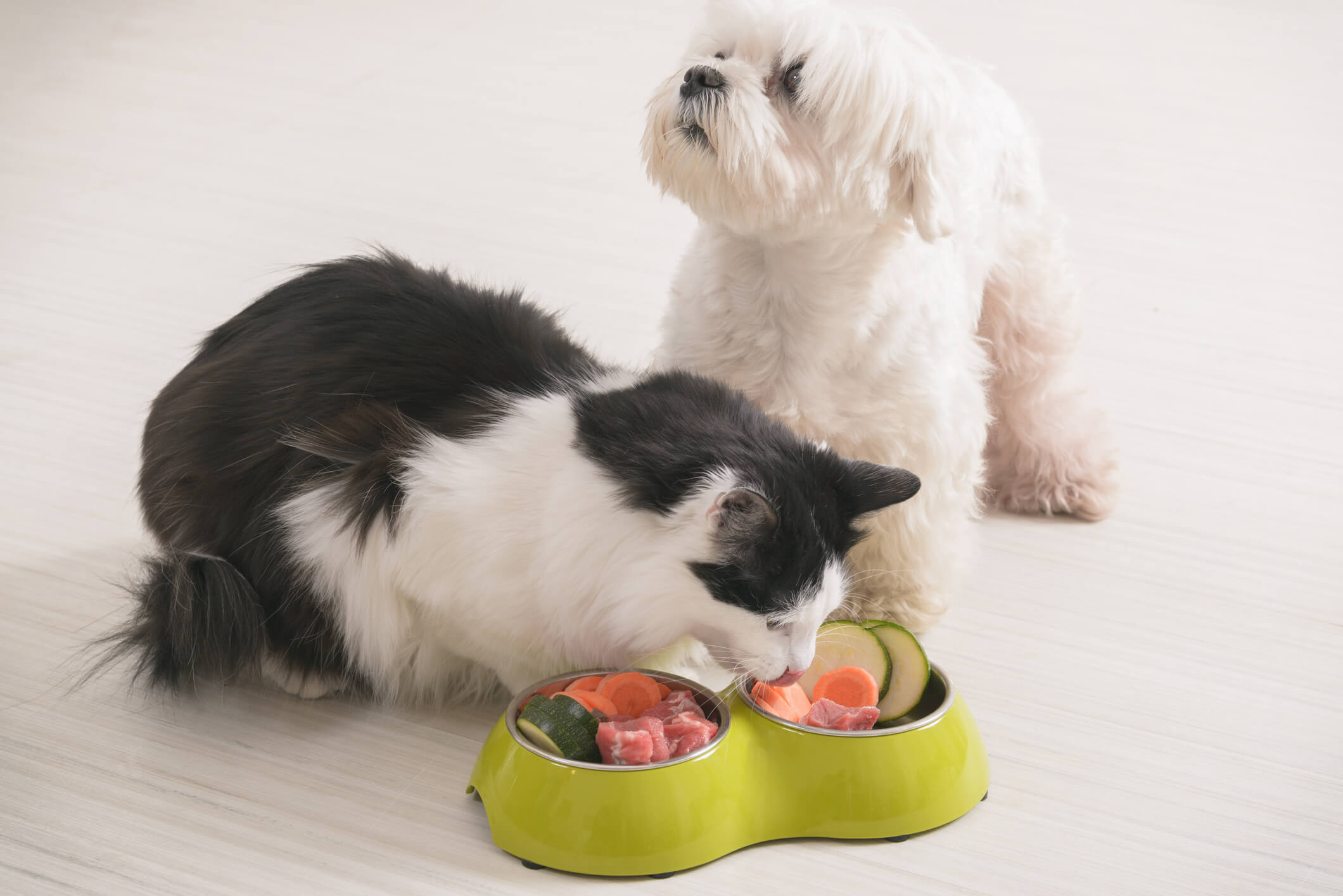 Pet Nutrition Trends